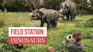 Field Station Dinosaurs