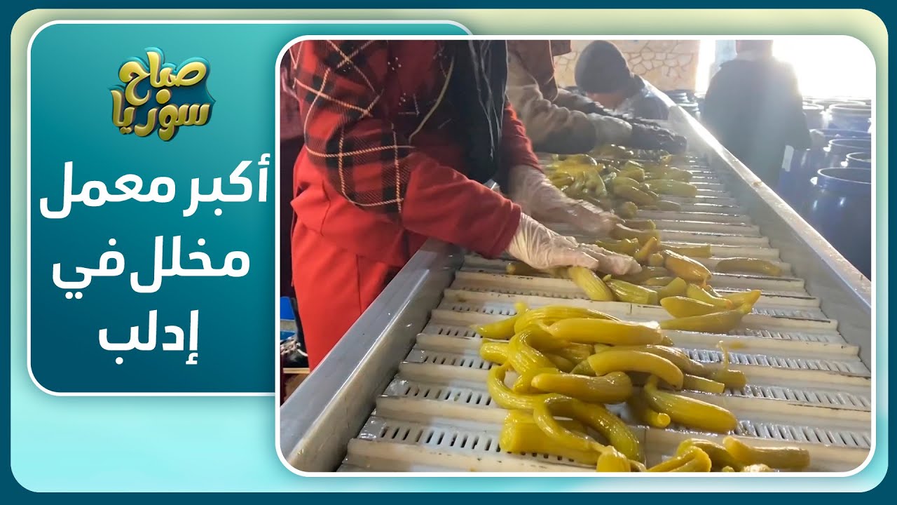 جولة في أكبر معمل لإنتاج المخلل في إدلب | صباح سوريا