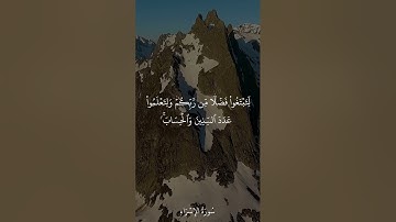 آيات بينات من سورة الإسراء بصوت القارئ شمس الدين سخري  الجزائري ✨🌺