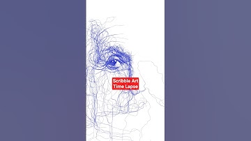 From Photo to Scribbles ✨#timeLapse #scribbleArt #scribbling #algorithmicArt #digitalArt