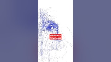 From Photo to Scribbles ✨#timeLapse #scribbleArt #scribbling #algorithmicArt #digitalArt