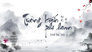 Video thumbnail of "[Vietsub/Pinyin] Tương kiến phi hoan 相见非欢 - Diệp Lý 叶里 | Douyin"