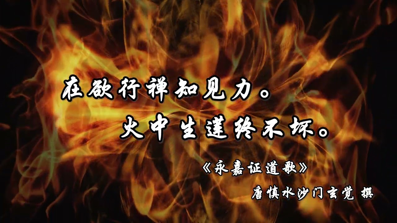 在欲行禅知见力 火中生莲终不坏| 无BGM无伴奏纯净版| 《永嘉大师证道歌》|《永嘉证道歌》偈颂