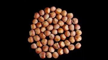 Three Squirrels Hazelnut Nuts 三只松鼠 原味榛子