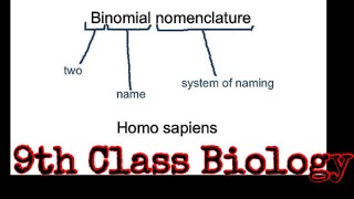 Binomial nomenclature ch#3 biology ...