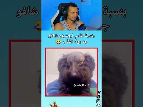 بنسبة لناس ليعمرهم شافو جد بوك الكلب