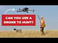 Can You Use Your Drone to Hunt Wildlife?