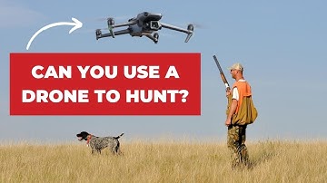 Can You Use Your Drone to Hunt Wildlife?