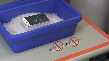 Avoiding Common Mistakes: Thaw Strips & Plates