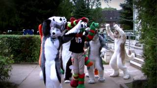 Skeppo and Willion feat. Fjordwolf Fursuit Music Video #3 - Glow