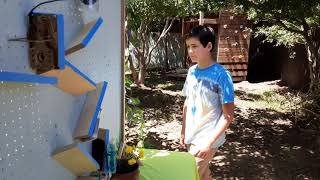 Rube Goldberg Plant Watering Machine