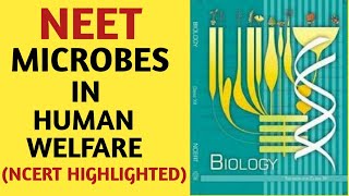 Microbes In Human Welfare/Class 12/NCERT/Chapter 10/Quick Revision Series/NEET/AIIMS/JIPMER