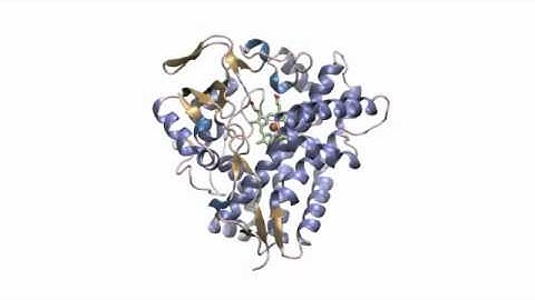 P450 enzyme PikC adopts closed conformation upon substrate binding