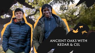 Ancient oaks and forest bathing with Kedar and Cel | Save Our Wild Isles