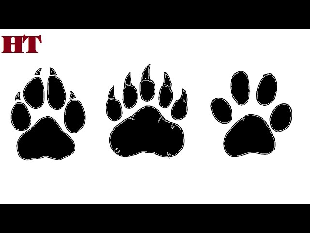 How to draw a paw print step by step easy 