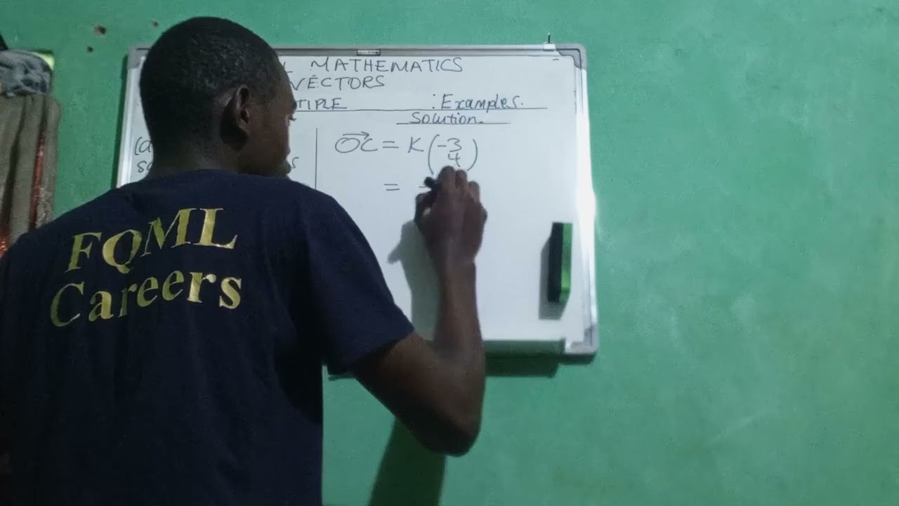 The Scalar Multiple of a Vector and Parallel Vectors Example Video