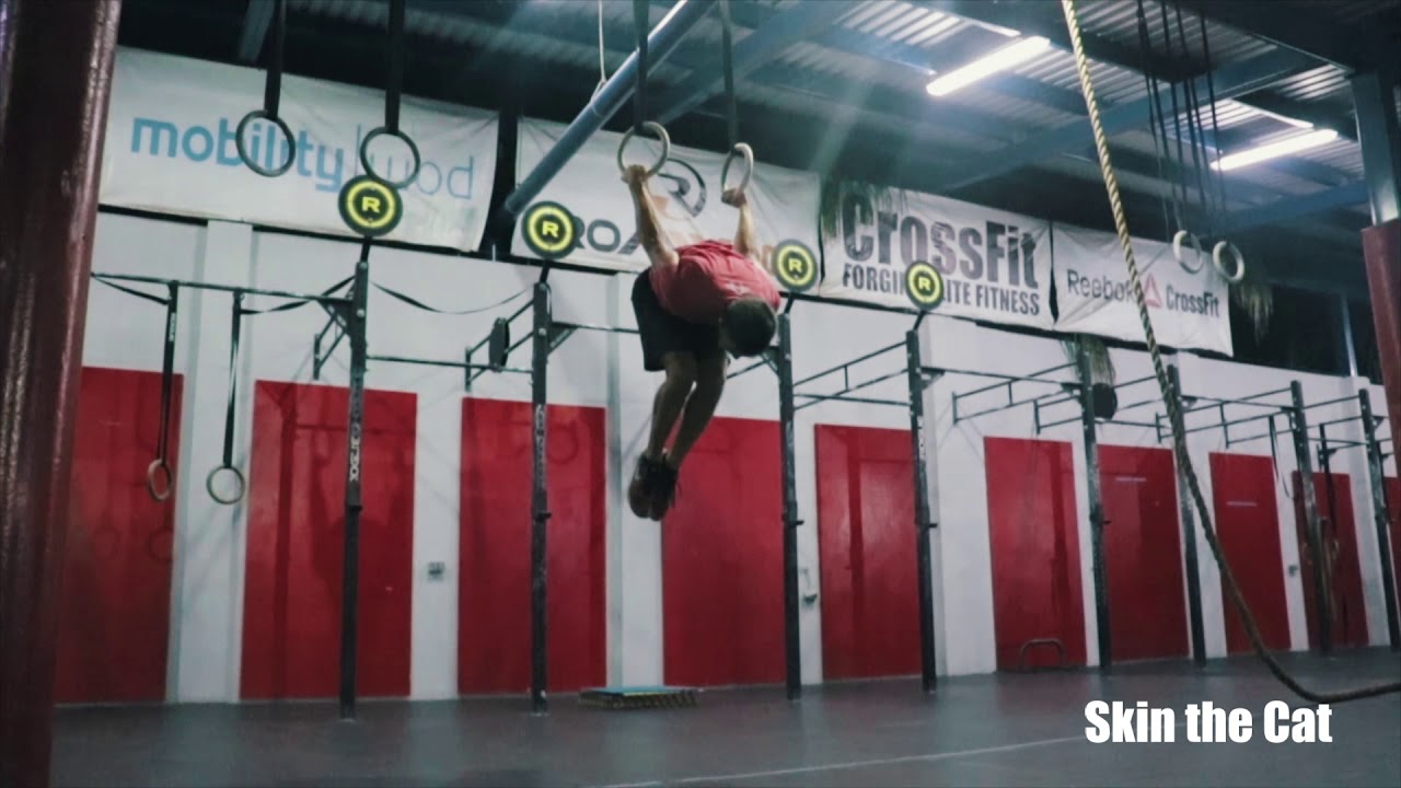 Altum Gymnastics Skin the Cat YouTube