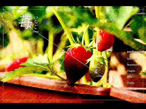 Strawberry English 英語 Youtube