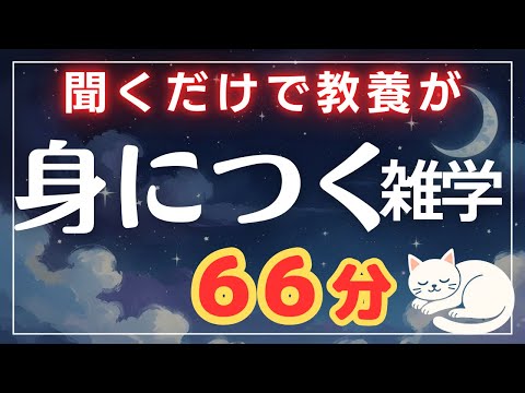 【深夜の知恵】聞くだけで教養が身につく雑学60分【睡眠導入・聞き流し】