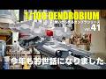 プラ板ガンプラ 1/100デンドロビウム製作 vol.41 [fullscratsh build gunpla dendrobium vol.41]
