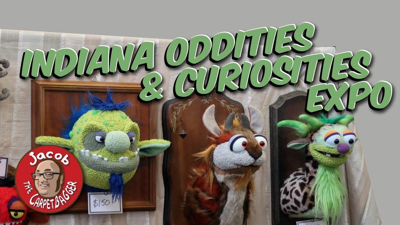 The Indianapolis Oddities and Curiosities Expo 2021 YouTube