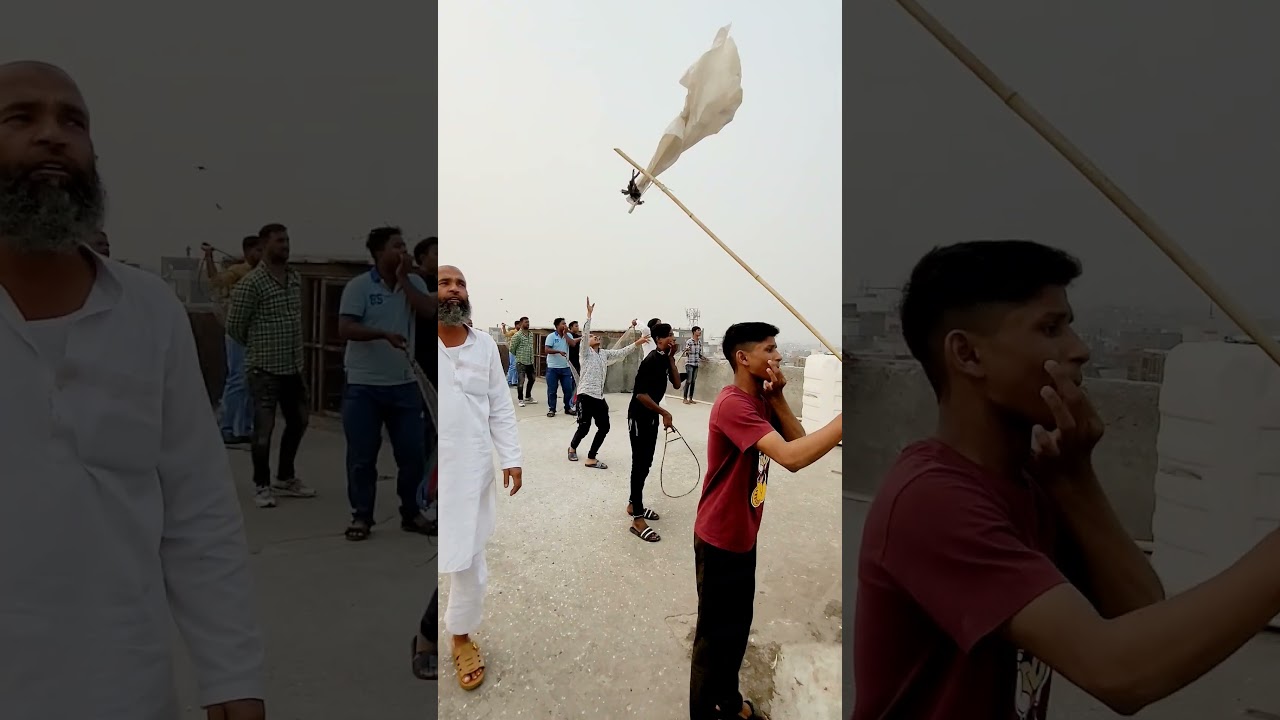 Shok Delhi Walo Ka, 2365 Kabutar  