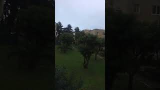 #shorts la pluie  الله ارحمنا او يعطيها لينا على قد النفع ?