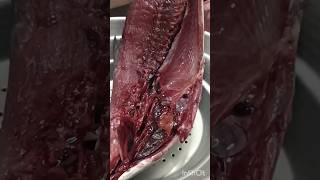 சூரை மீனில் dark meat ahhh?😱 #fish #fishcleaning #tuna #ytshorts #tamil #voiceover #fyp #shorts