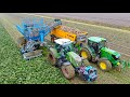 Suger beet Harvest | Edenhall 754 Four-Row trailed beet harvester | Fendt 724 & John Deere 6140R