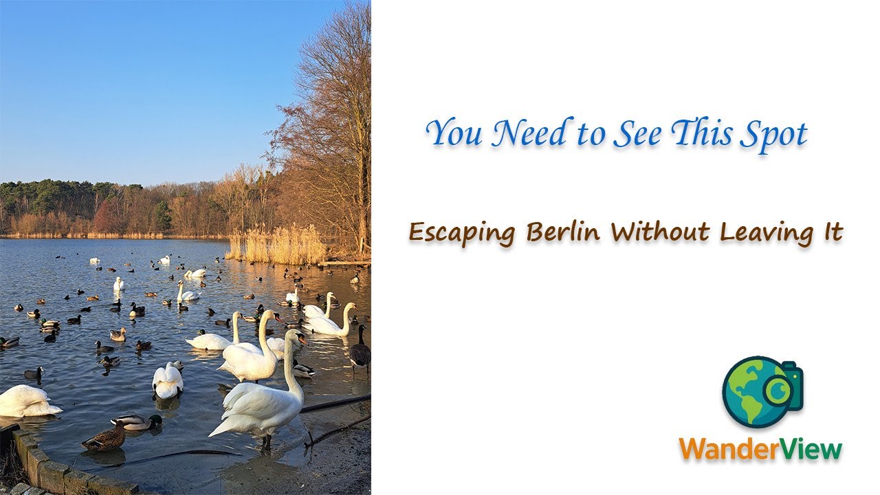 4K Pure Nature Sounds for Relaxation – Forest, Water & Wildlife Ambience 🌿