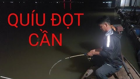 Câu cá sông tiền, được 2 con cá cóc quá ngon @ghiencau66 #fishing #