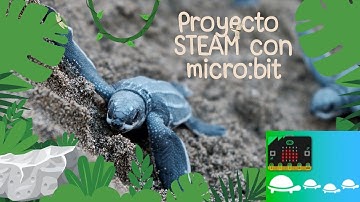 Programa para Salvar a las Tortugas