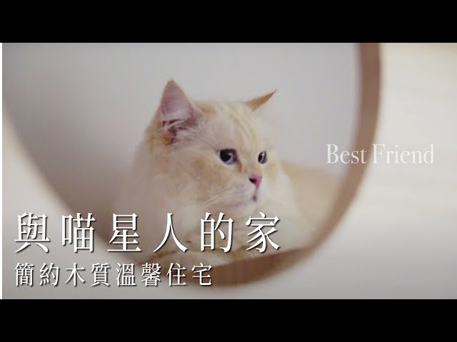與喵星人的家，簡約木質溫馨住宅｜清新宅｜Take a C｜動態錄影｜# house