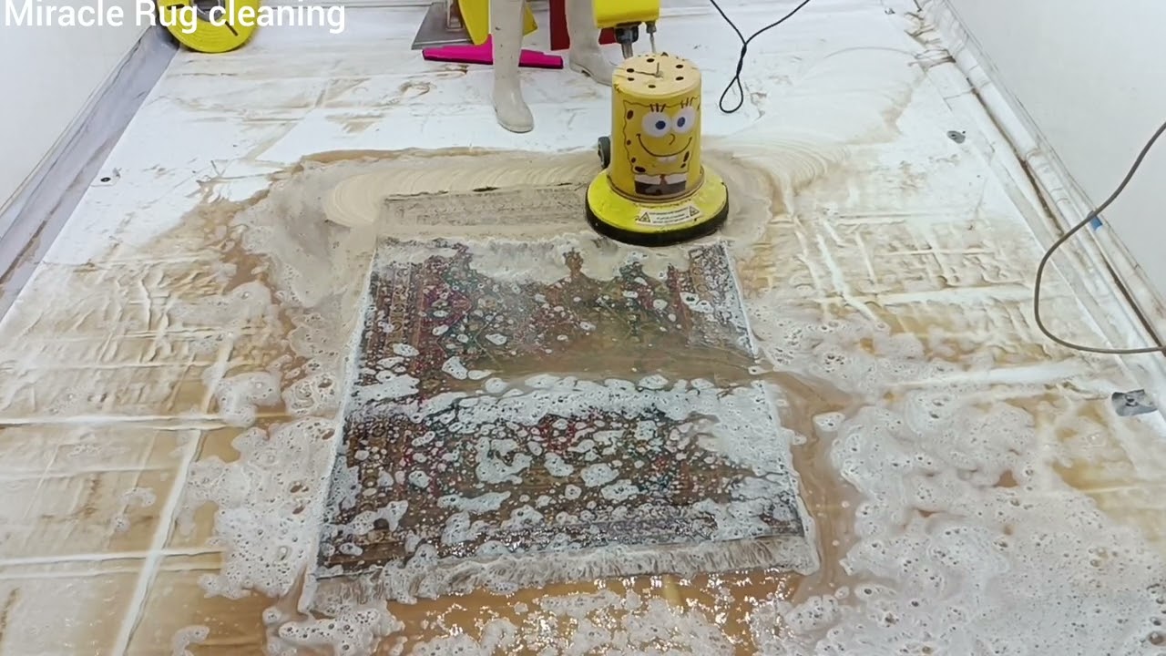 Relaxing short film of attractive and satisfying carpet cleaning