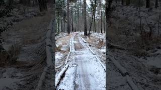 Ice-cold Dutch Winter Pt4 | Watch Full Nature Walk in 4K on Channel! | #winter #4k #snow #nature