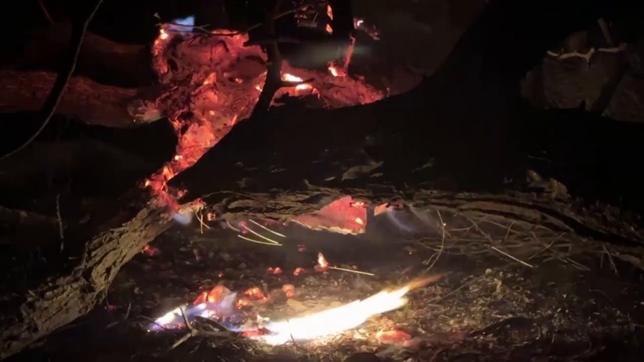 Wildfire grows into one of largest in Texas history as flames menace ...
