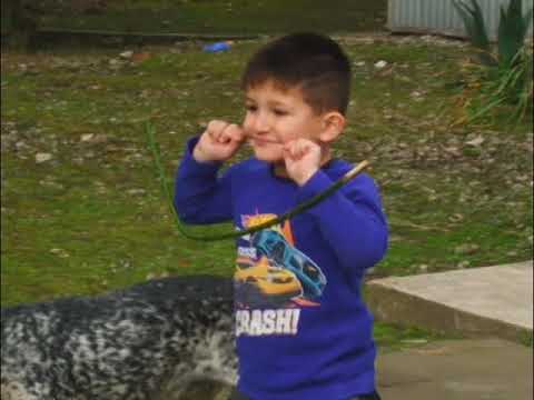 ფოთში გიგანტური კუ იპოვეს 25 03 19