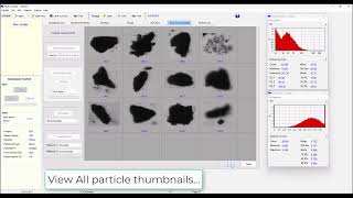 Famous Petroleum Lost Circulation Material (LCM).  Particle Size and Shape Analysis - CCM Type #1 Net Worth