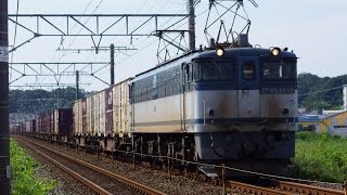 涙顔だよ青プレートEF65-2040[新]号機＋コキ20B 貨物列車5087レ 2014/08/13