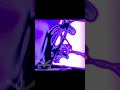 KAFKAHARDRESET - SN242