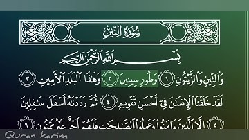 سورة التين بصوت الشيخ ماهر المعيقلي