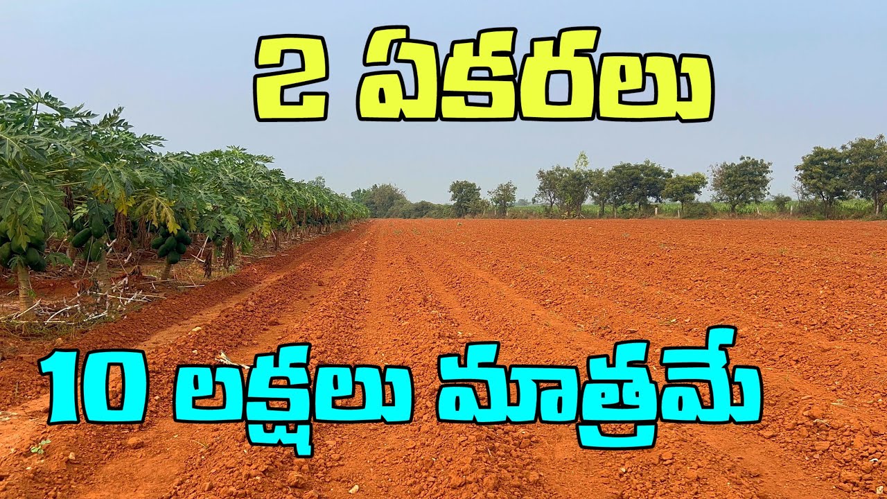 💰Low Budget Land Deal | 2 Acres 20 Lakhs | Durgi Road ⚡ఇంత చీప్ రేట్ లో 2 ఎకరాలు దొరకవు Clear Title