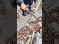 cutting tree branch with sharp machete while shaping wood stick for outdoor crafting work