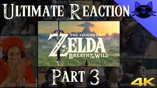 Zelda Breath of the Wild - Reaction Compilation - Part 3 - Best reactions - 4k Profile