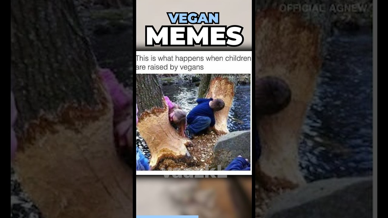 Vegan Memes Are Hilarious