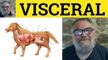 🔵 Visceral Meaning - Visceral Examples - Visceral Definition - IELTS Vocabulary - Visceral