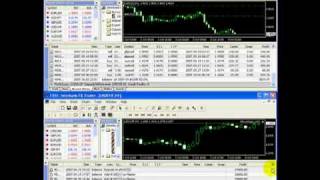 Forex Trading Strategies - Bank Flow