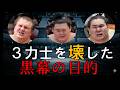 大相撲崩壊！横綱・大関を潰した恐るべき罠
