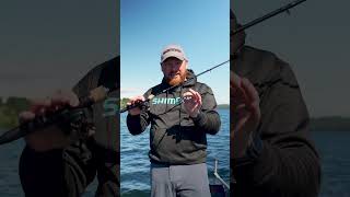 Check out the Cheburashka rig and discover how to fish it successfully!
