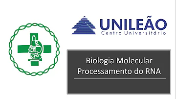 Como funciona o processo de maturação do RNA mensageiro?